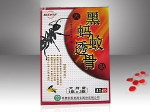 黑螞蟻透骨貼